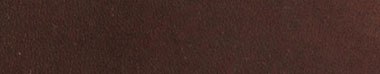 Коричневый цвет кожи c brown l 380