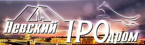 chempionat rossii po ipo nevskij ipodrom 2018