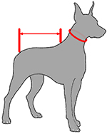shema obmera sobaki dlya shlejki h19