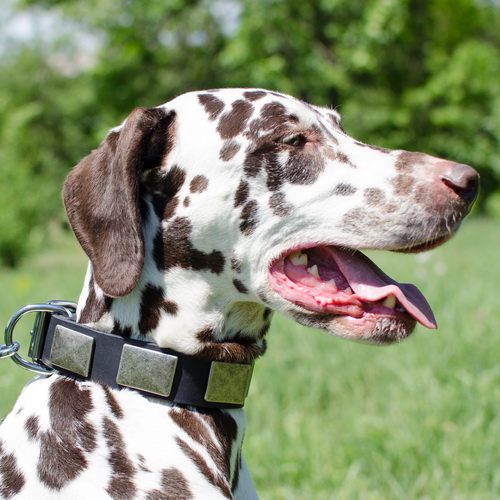 oshejnik mighty hound cena ot proizvoditelya