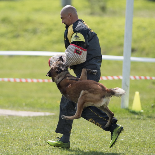 Рукав IGP для фигуранта