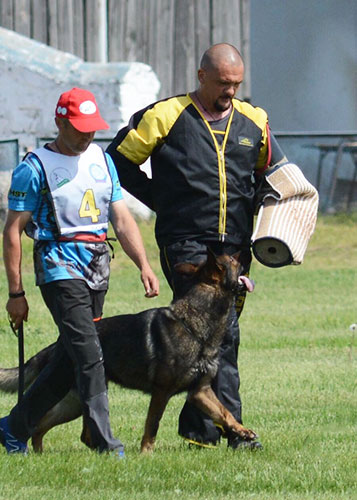 zashchitnyj rukav dlya podgotovki voennykh sobak be disciplined 