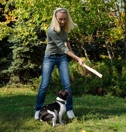 Кусалка из джута для собаки «Dog attacks»