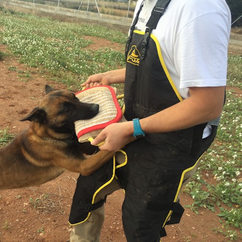 dzhutovaya kusalka dlya dressirovki sobak dog fight te8