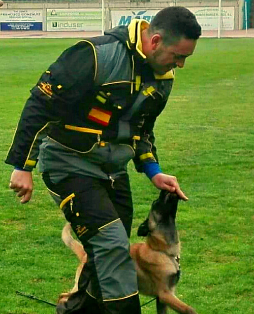 zashchitnyj kostyum dressirovshchika protective suit artikul pbs17
