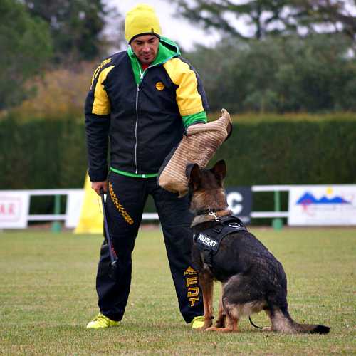 zashchitnyj kostyum dlya dressirovshchika sobak training force pbs4
