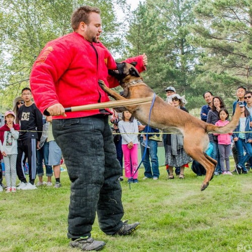Полупостановочный ринговый костюм