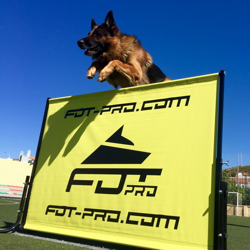 barer jump high dlya dressirovki artikul te300