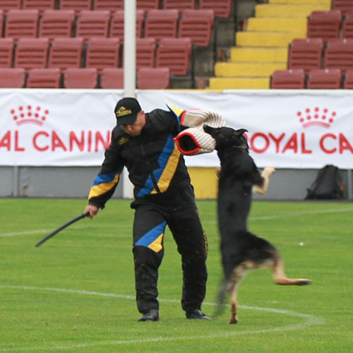 gibkij dressirovochnyj stek sport equipment 