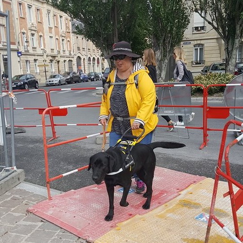 shlejka dlya sobak povodyrej ludej so slabym zrenijem h20