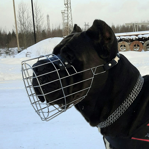 Сетчатый намордник для кане корсо