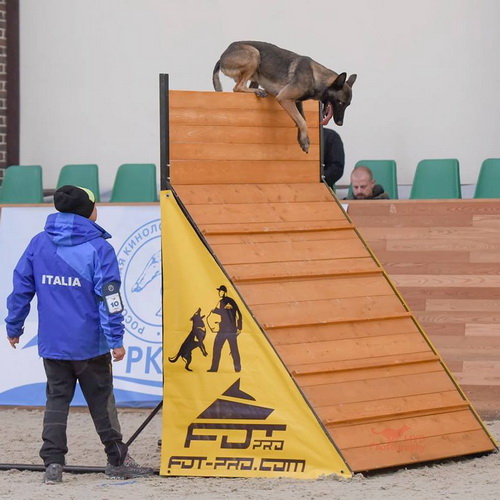 Чемпионат Мира FCI по Мондьорингу 2018