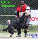Чемпионат Украины 2010 и Кубок Центрального Клуба 2010