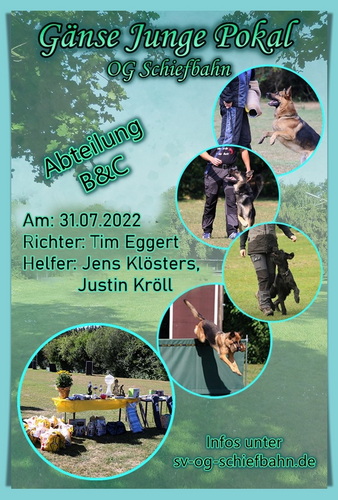 Gänse Junge Pokal