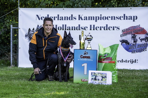 Nederlands kampioenschap Hollandse Herder