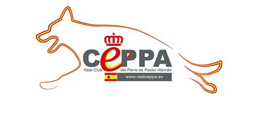 RealCeppa2022