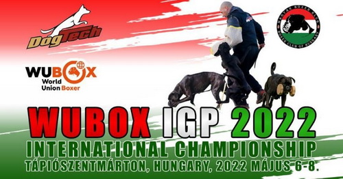 WUBOX IGP International Championship22