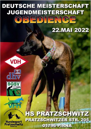 2022 VDH DM Obedience
