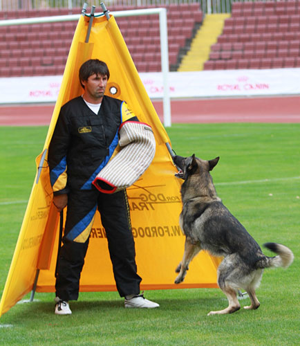 Чемпионат Мира WUSV-2011