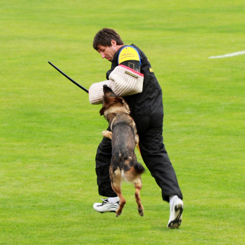 schutzhund training and protection bite sleeve