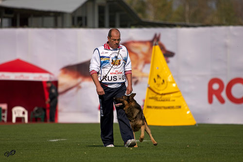 wusv 2011Schutzhund official WUSV 2011 trial protection bite sleeve 27