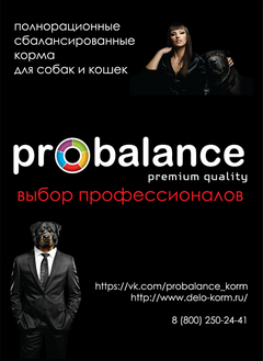 sponsor logo1