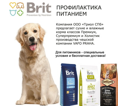 sponsor logo2