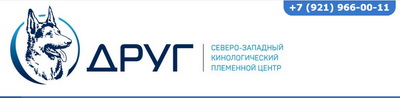 sponsor logo3
