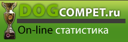 universalnyj chempionat ipo 3