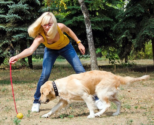 myach dlya sobak na verevke 