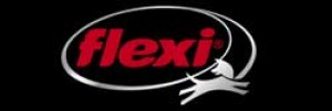 logo-flexi