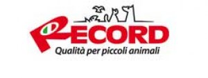 Record