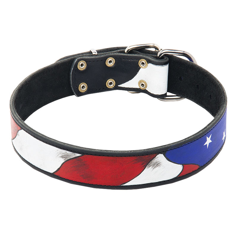  Эксклюзивный ошейник с рисунком «American Pride» - C77