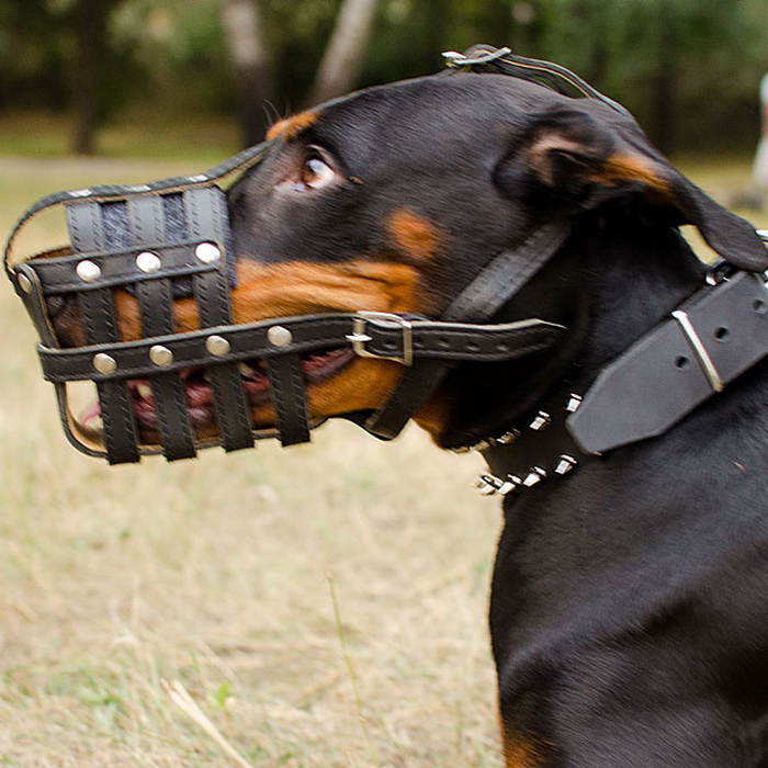 Кожаный намордник сетка «Managing dog's behavior» для Добермана