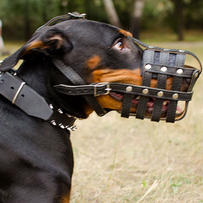 Кожаный намордник сетка «Managing dog's behavior» для Добермана суки