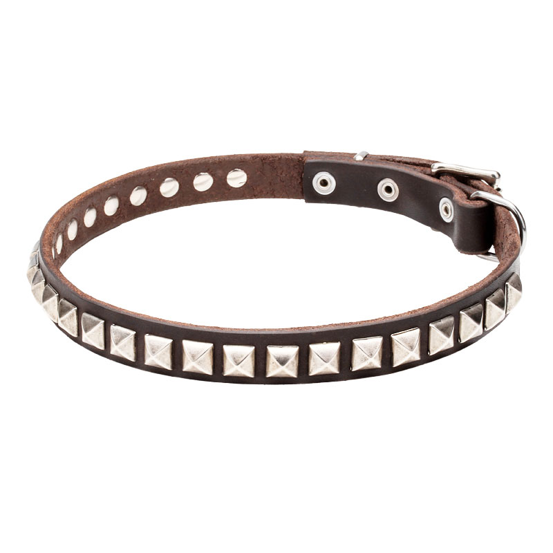 Узкий кожаный ошейник щенку «King Studs» - C65
