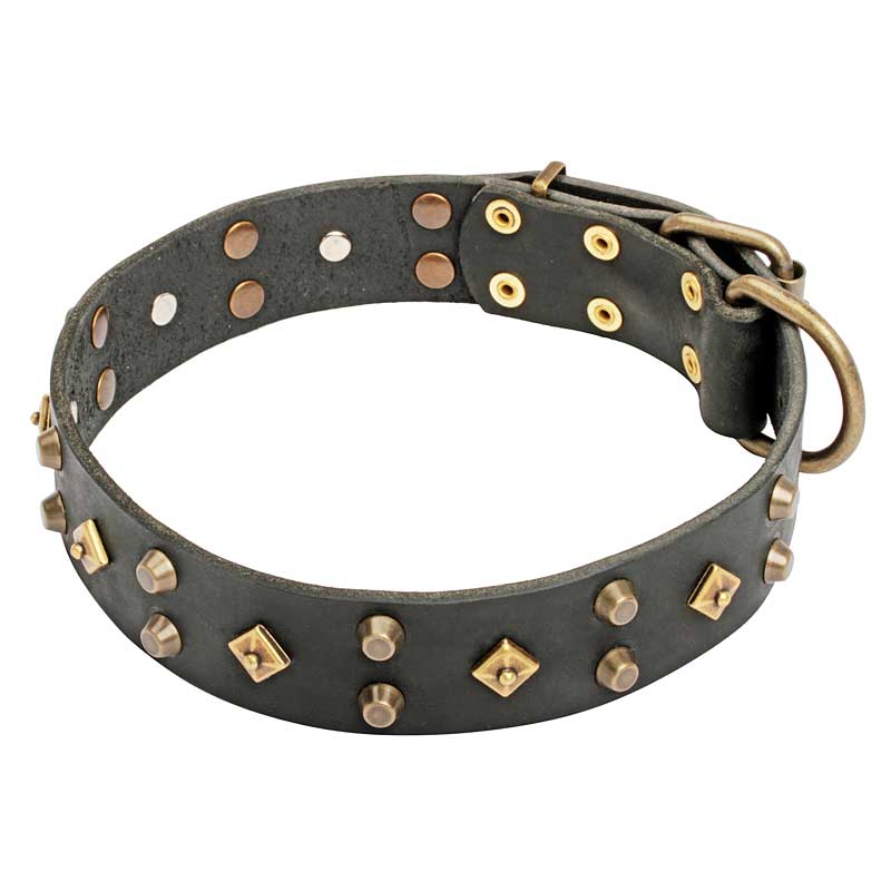 Ошейник для собаки «Fashion Jewelry» - C17