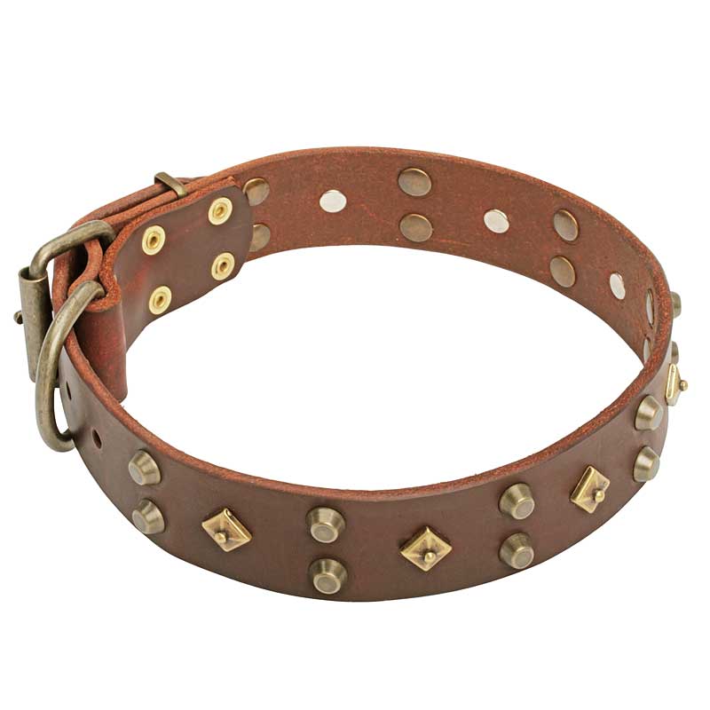 Ошейник для собаки «Fashion Jewelry» - C17