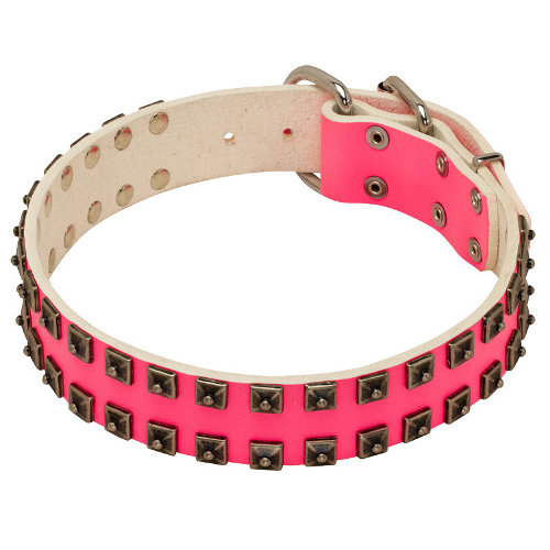 Ошейник розовый цвет «Cosmo Lady» - C93P