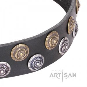 FDT Artisan - Ошейник для собаки черный «Shell» - C188