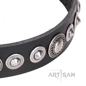 FDT Artisan - Черный кожаный собачий ошейник «Strict Elegance»