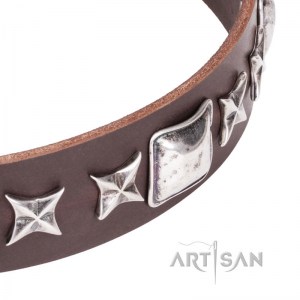 FDT Artisan - Коричневый кожаный ошейник для собак «Perfect Impression»