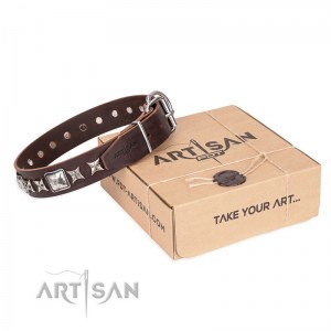FDT Artisan - Коричневый кожаный ошейник для собак «Perfect Impression»