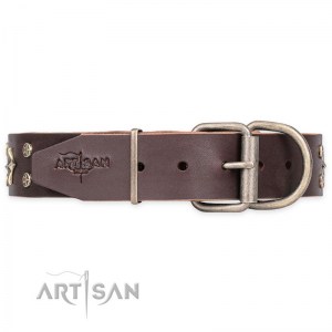 FDT Artisan - Коричневый кожаный ошейник с украшениями «High Fashion» - C194