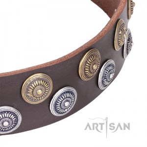 FDT Artisan - Ошейник для собаки коричневый «Strong Shields» - C189