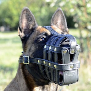 Кожаный намордник «Maximum safety»