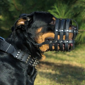 Кожаный намордник «Maximum safety» для Ротвейлера