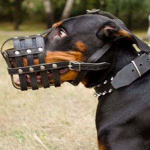 Кожаный намордник сетка «Managing dog's behavior» для Добермана