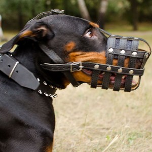 Кожаный намордник сетка «Managing dog's behavior» для Добермана суки