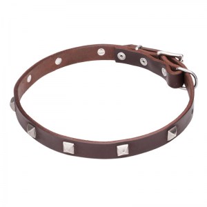 Кожаный ошейник с украшениями A la Mode